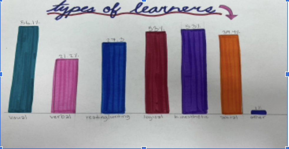 The types of learners in HHS based upon the survey given out. 